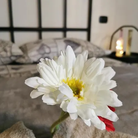 Certe Notti Apartman *